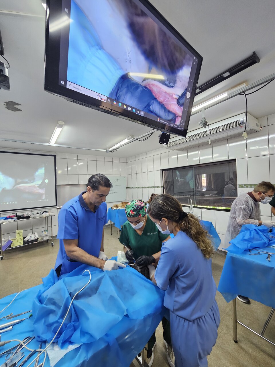 curso-intensivo-teorico-pratico-de-craniotomia-em-pequenos-animais
